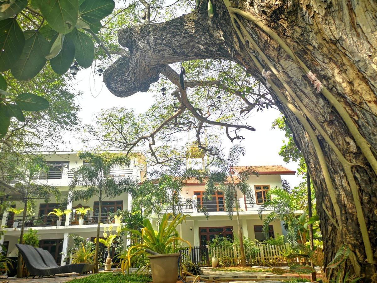 Serendib Village Guest House Negombo Exteriör bild